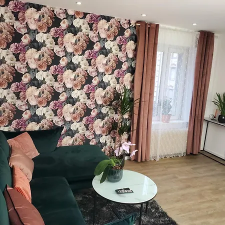 Mirka & Franck Aircon Clim, Chic, Garage & Parking Free Included