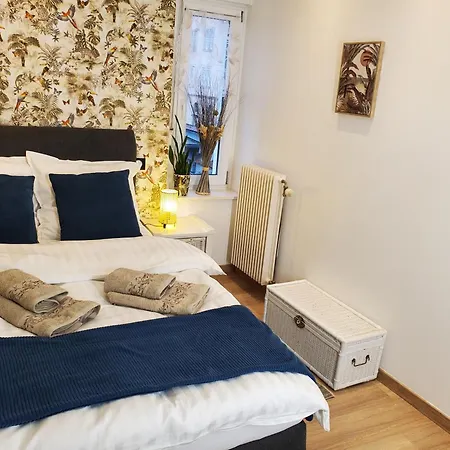 Mirka & Franck Aircon Clim, Apartment Chic, Garage & Parking Free Included Colmar