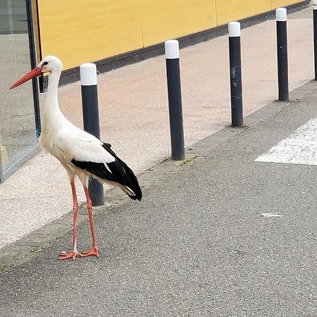 Mirka & Franck Aircon Clim, Chic, Parking Free, Avantages Packs Bookables