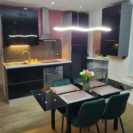 Mirka & Franck Aircon Clim, Chic, Garage & Parking Free Included * Colmar
