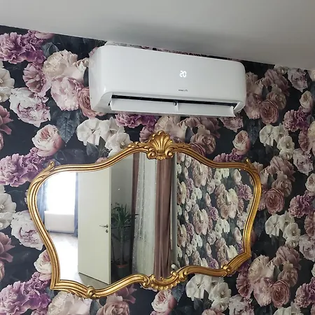 Mirka & Franck Aircon Clim, Apartment Chic, Garage & Parking Free Included * Colmar