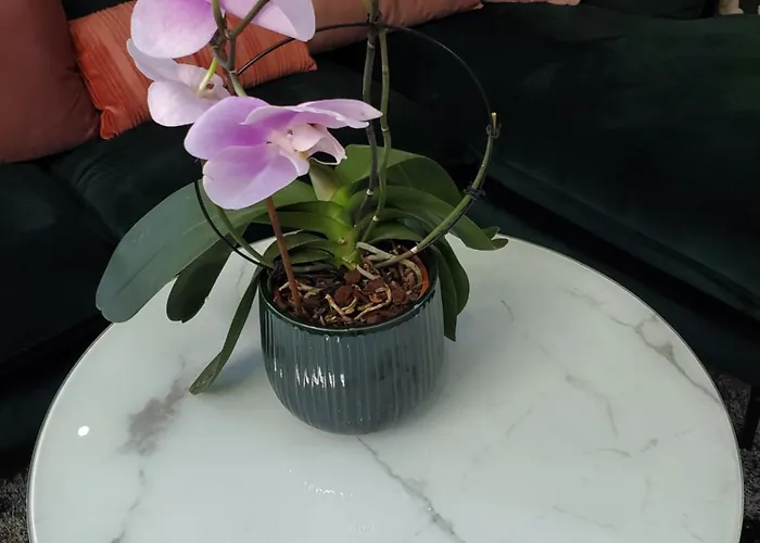 Mirka & Franck Aircon Clim, Chic, Parking Free, Avantages Packs Bookables Apartmán