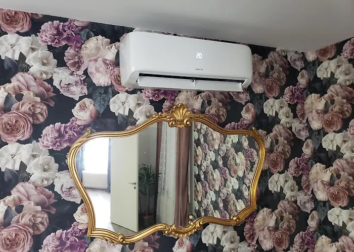 Mirka & Franck Aircon Clim, Chic, Parking Free, Avantages Packs Bookables * Colmar